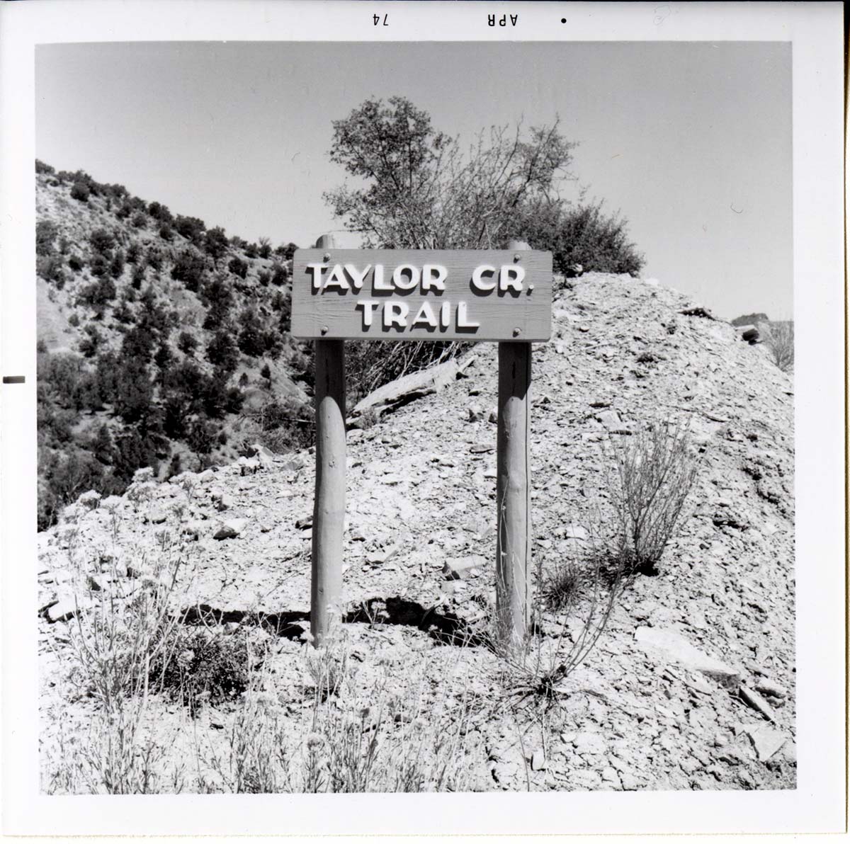 Sign reading 'Taylor Creek Trail' in Kolob Canyon.