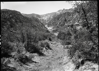 Inspection trip into Kolob area with Langston Mountain and private holdings (timber land).