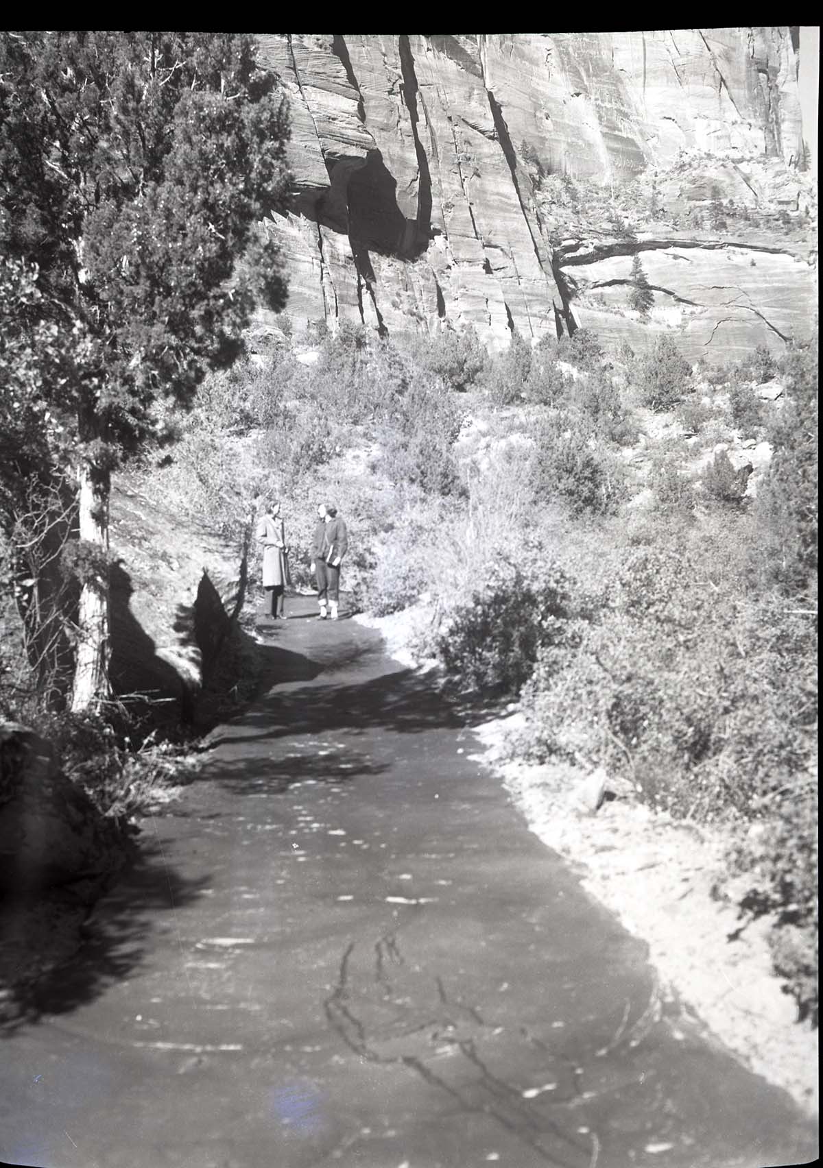 West Rim Trail on lower stretch completely washed out by flood July 25, 1954, restored.