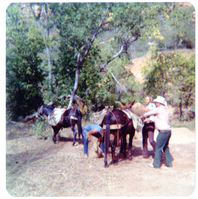 Horse pack-train heading for the East Rim for trail maintenance work.