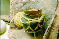 Color photos of prehistoric jar (North Creek Gray) display.