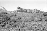 BW photo of the 1937 grazing study 35MM. Photo of chained area.