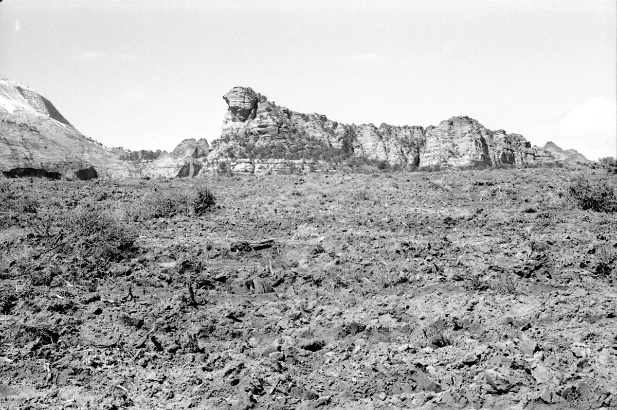 BW photo of the 1937 grazing study 35MM. Photo of chained area.