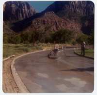 Workers during the construction of the sanitary dump in the Watchman Campground area.