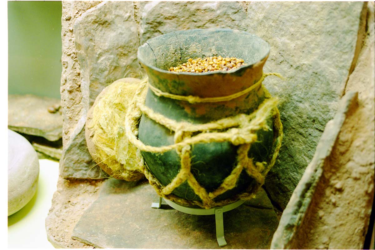 Color photos of prehistoric jar (North Creek Gray) display.