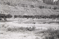 Road going though the Watchman Campground.