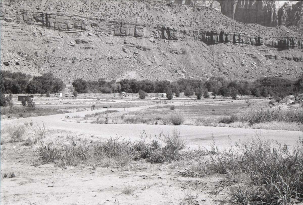 Road going though the Watchman Campground.