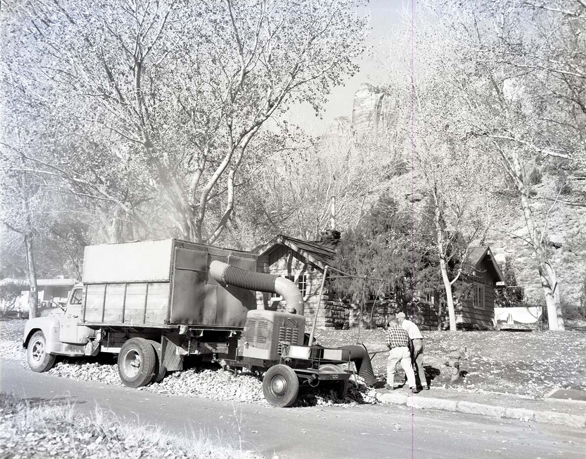 Leaf gathering operation in South Campground, fall cleanup.