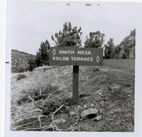 Road sign reading 'Smith Mesa' to the left and 'Kolob Terrace' to the right.
