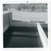 The sewer treatment plant.