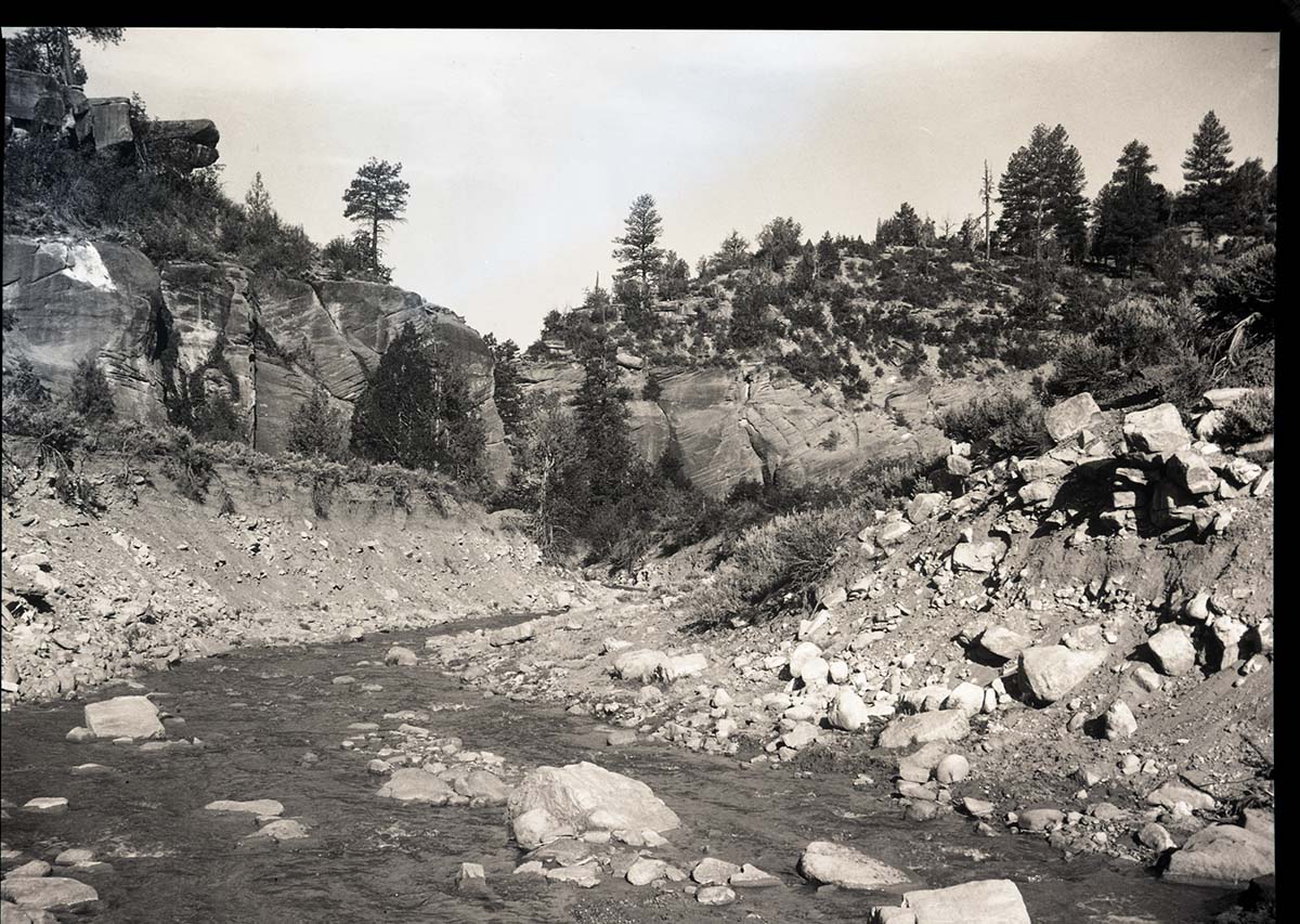 Start of Zion Narrows Trail-north fork Virgin River near chamberlain's ranch