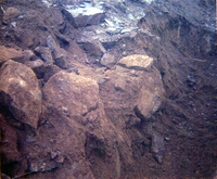 Workers during the construction of the Springdale water pipeline.