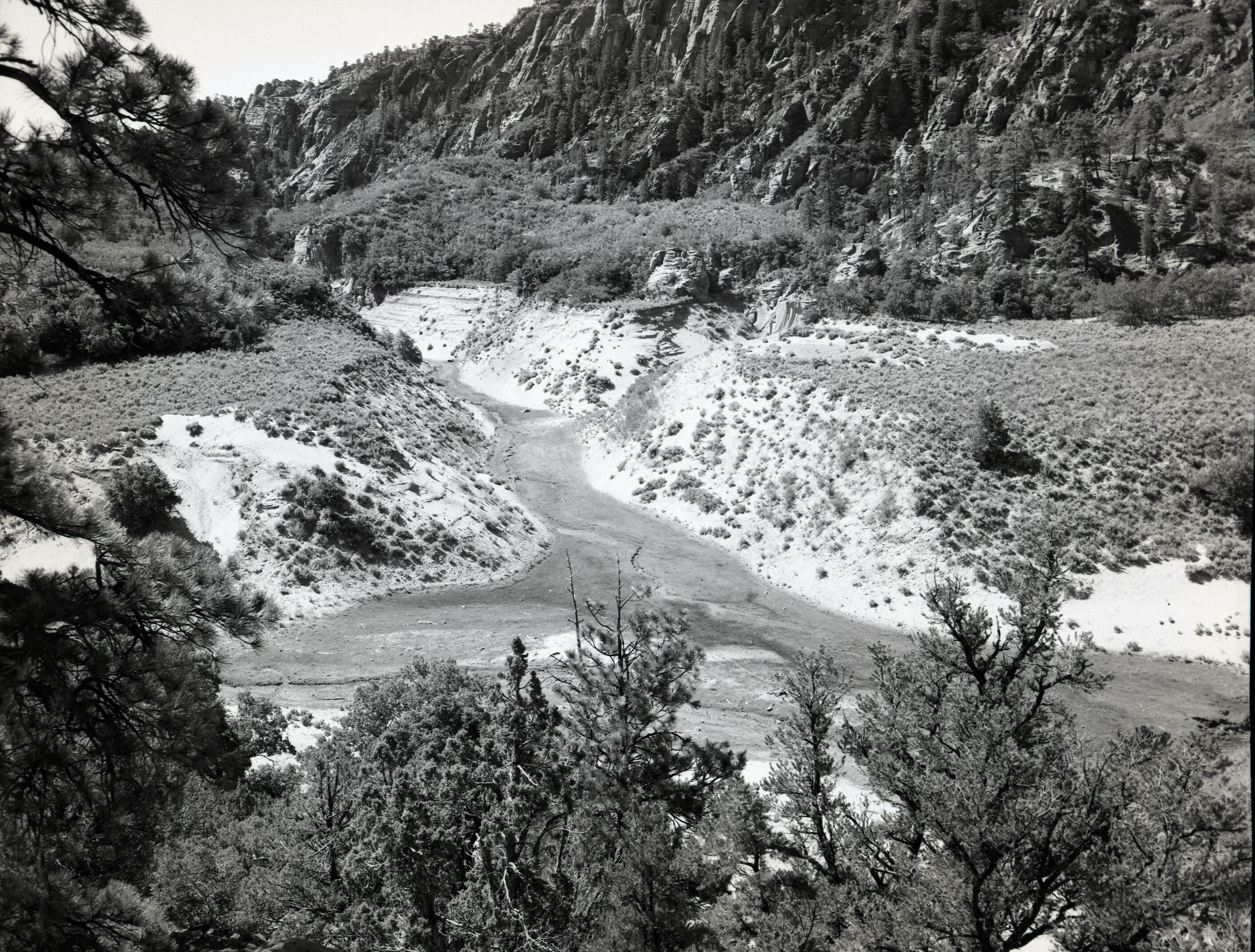 Water use in Hop Valley: irrigation, improper land use, and over grazing to refute water diversion rights claim under grazing permit.