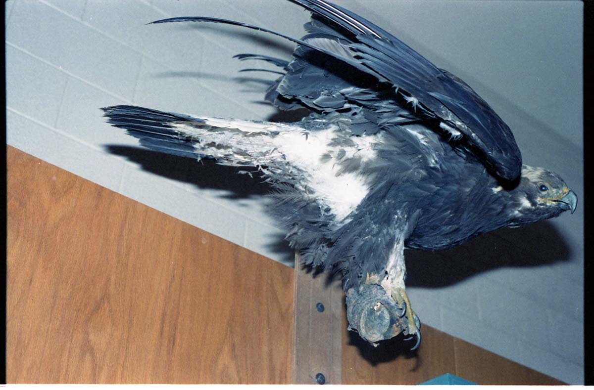 Color Photos of the old visitor center exhibits.