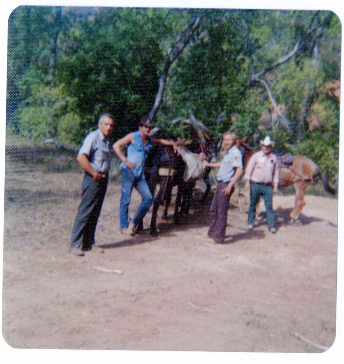 Horse pack-train heading for the East Rim for trail maintenance work.