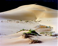 Panoramic view of Coral Pink Sand Dunes.