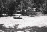 South Campground sites being used by guests with tents and trailers.