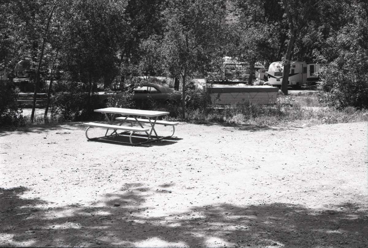 South Campground sites being used by guests with tents and trailers.