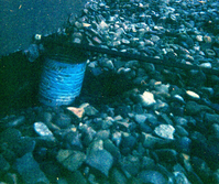 Sewer treatment plant.