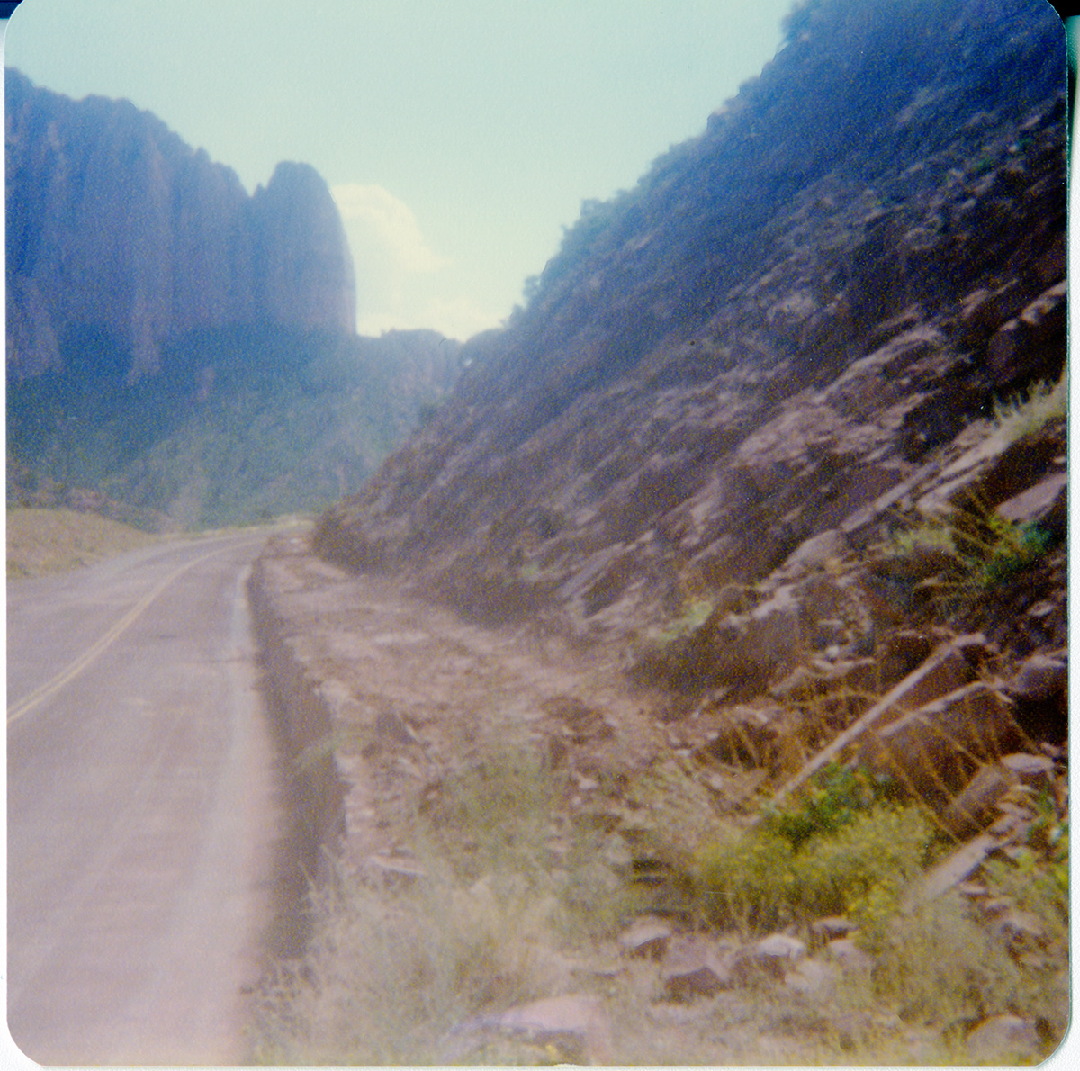 Side of the road while driving along the Kolob Terrace Road - North Unit.