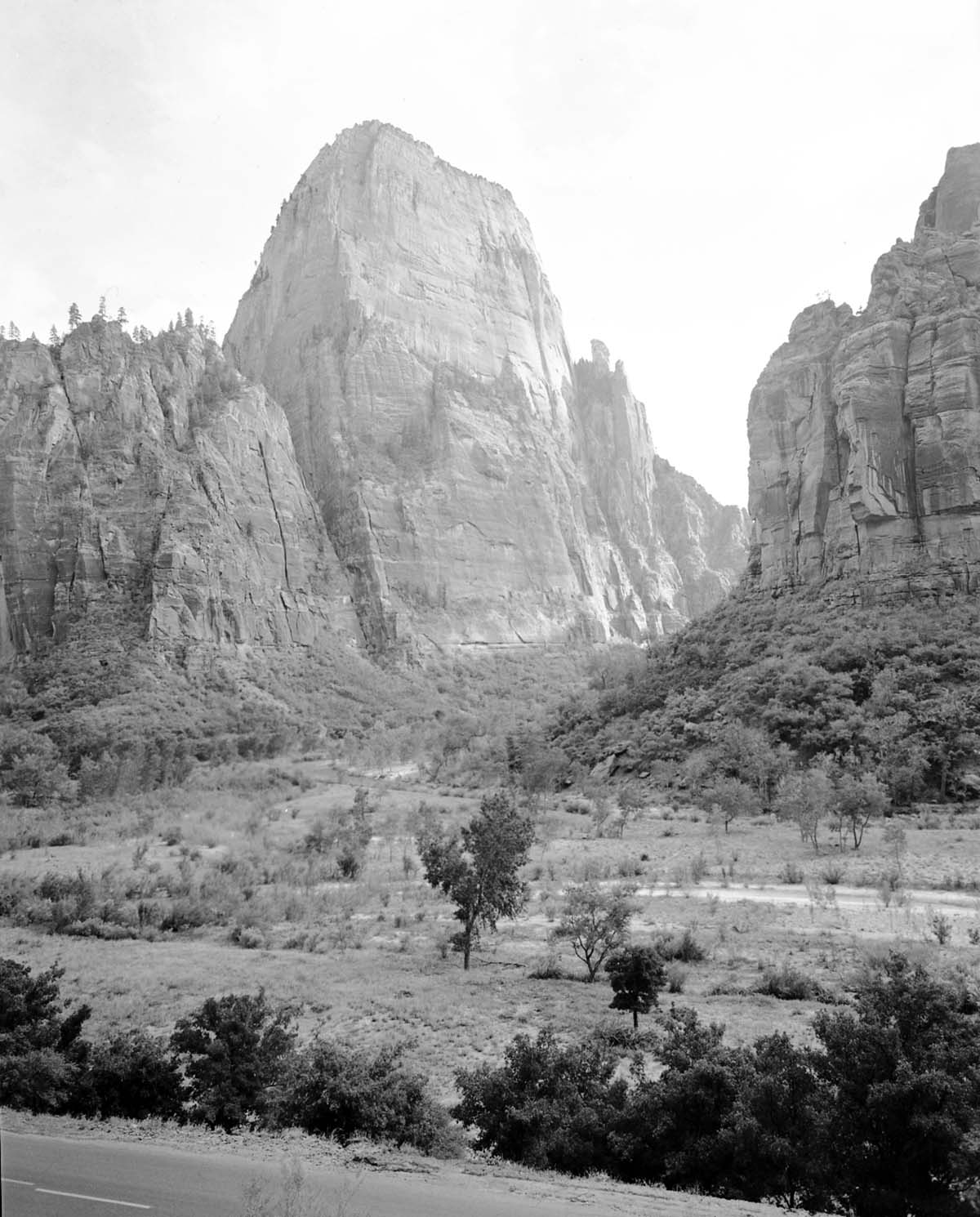 The Great White Throne from across the canyon floor, road in foreground.