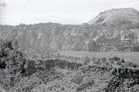 BW photo of the 1937 grazing study 35MM. Photo of southern Lee Valley.