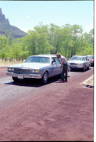 Color Photos of the parks 72nd anniversary celebrations- cake cutting, barbecue, speakers.