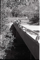 BW Photos of Junior Ranger Activities in Zion. On vehicle bridge near Watchman Housing Area.