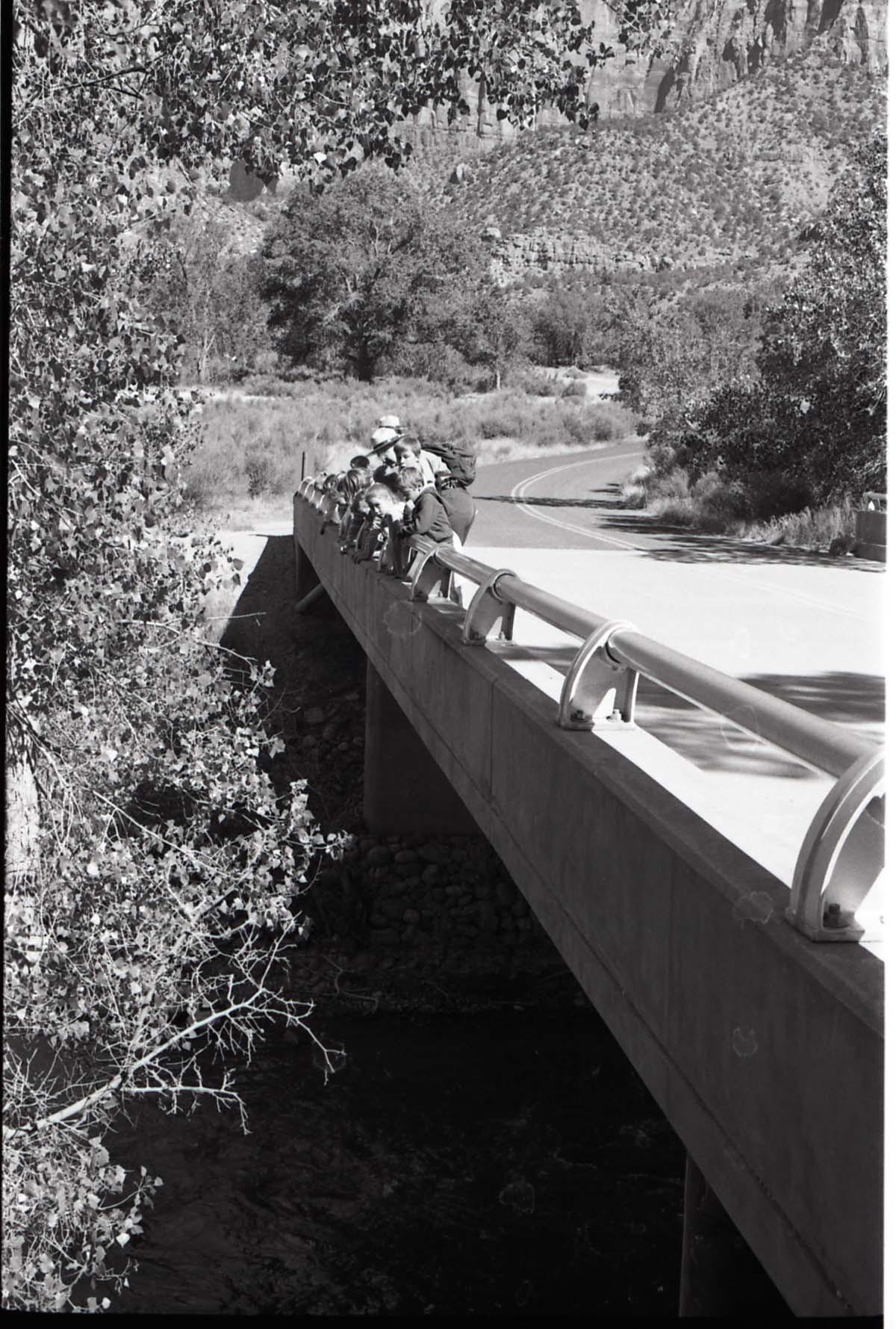 BW Photos of Junior Ranger Activities in Zion. On vehicle bridge near Watchman Housing Area.