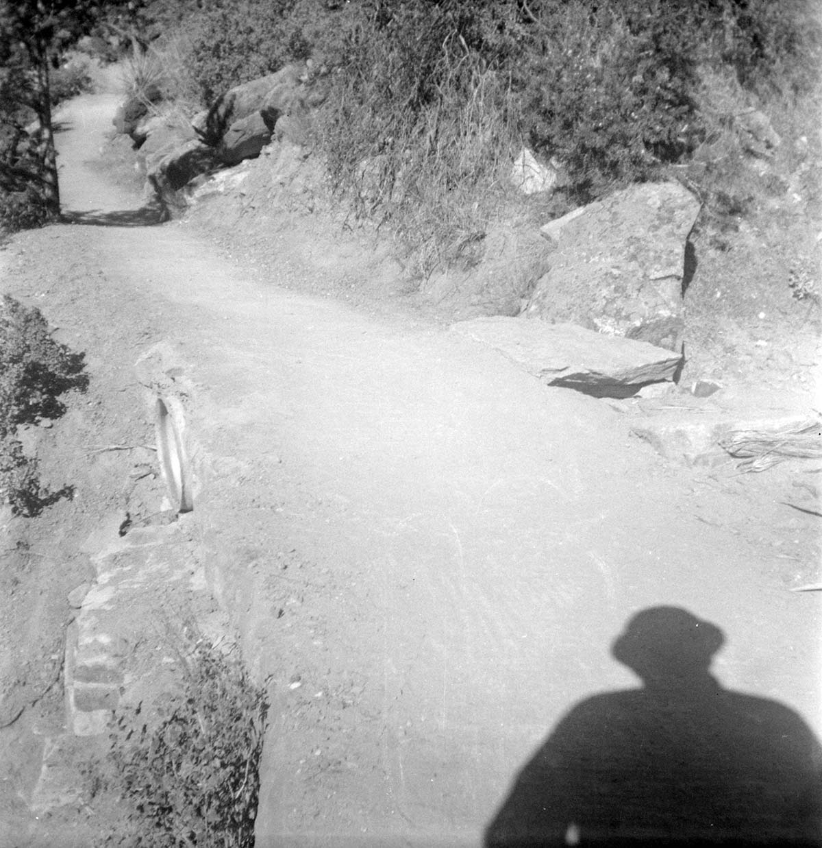 The Emerald Pool trail reconstruction.