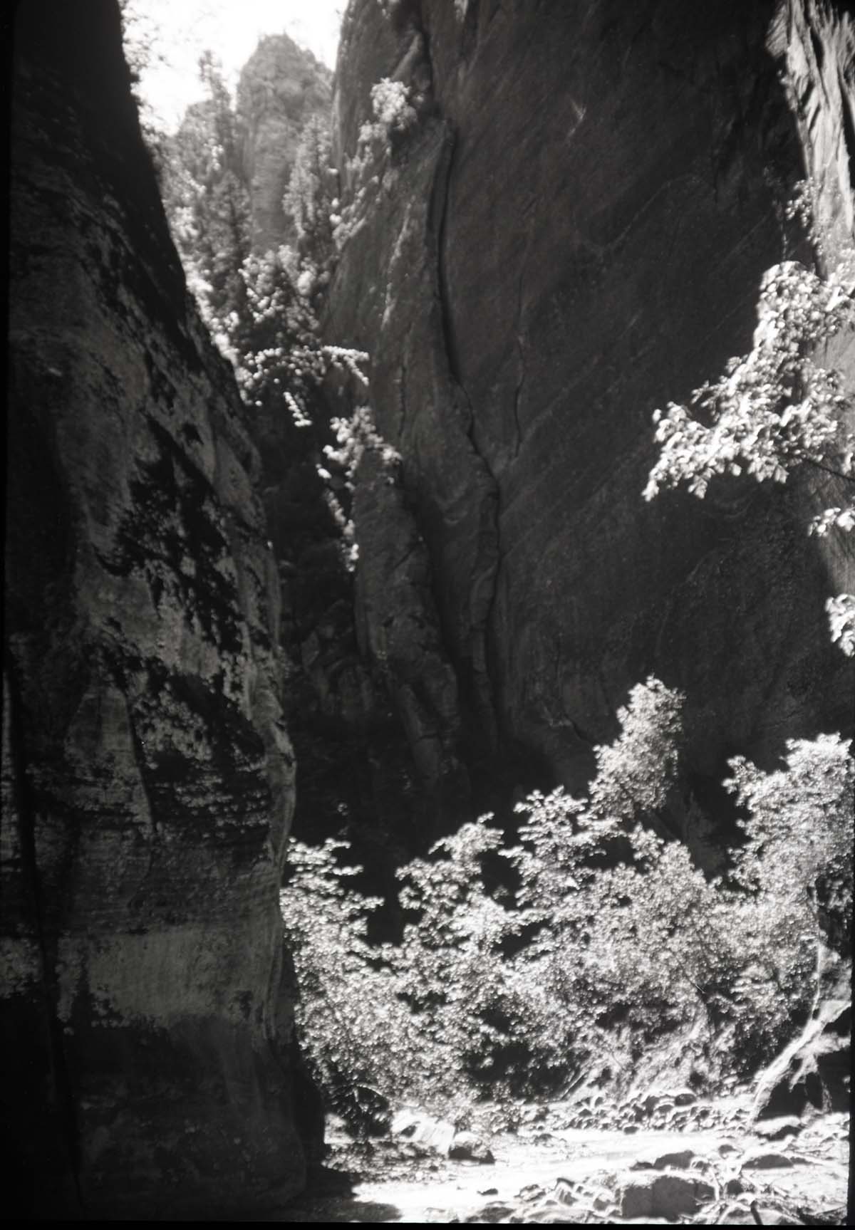 Zion Narrows.