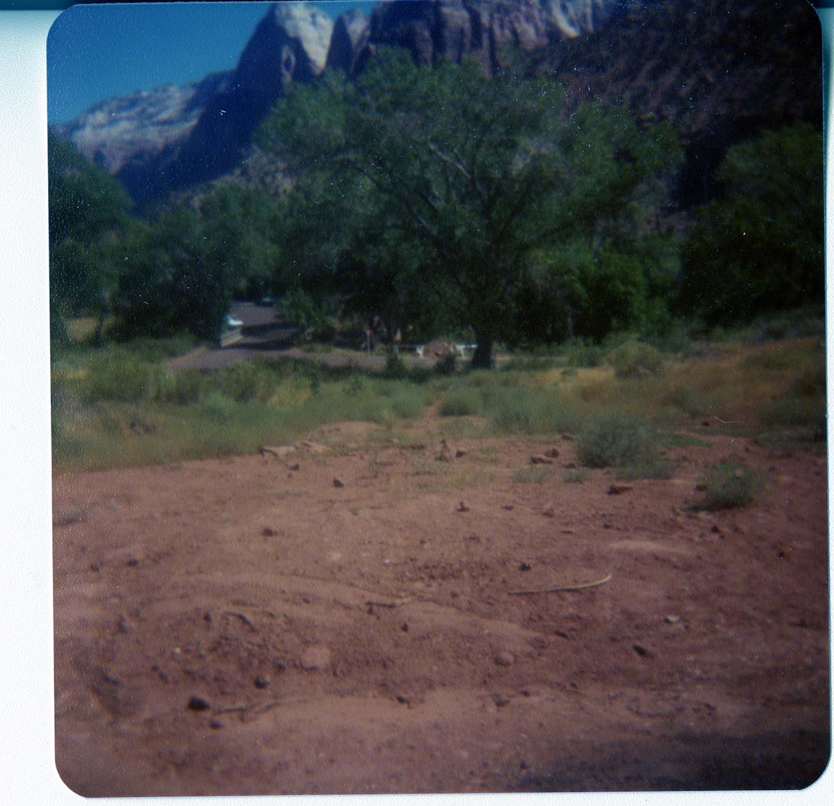 The Springdale water pipeline during construction.
