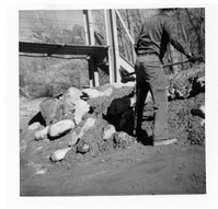Man working on the protection/stabilization of the footings for the old Birch Creek suspension footbridge.