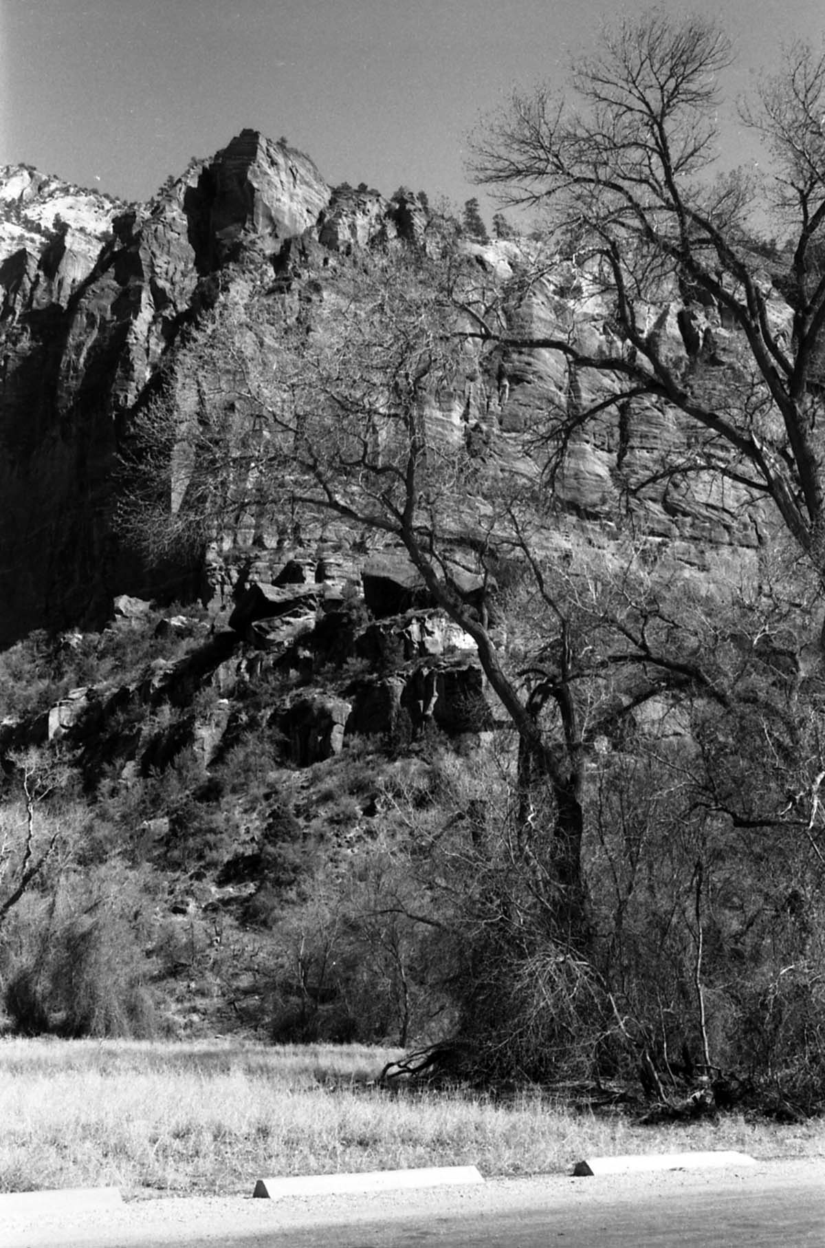 BW Photos of general interior views of Zion Canyon - 35mm.