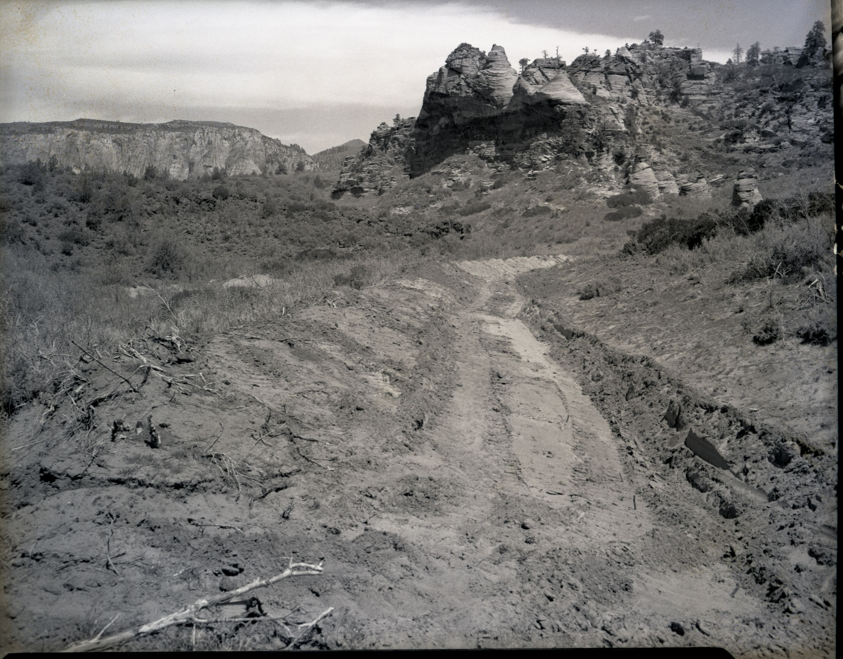 Sand filled dams and irrigation ditches on Evan Lee property.