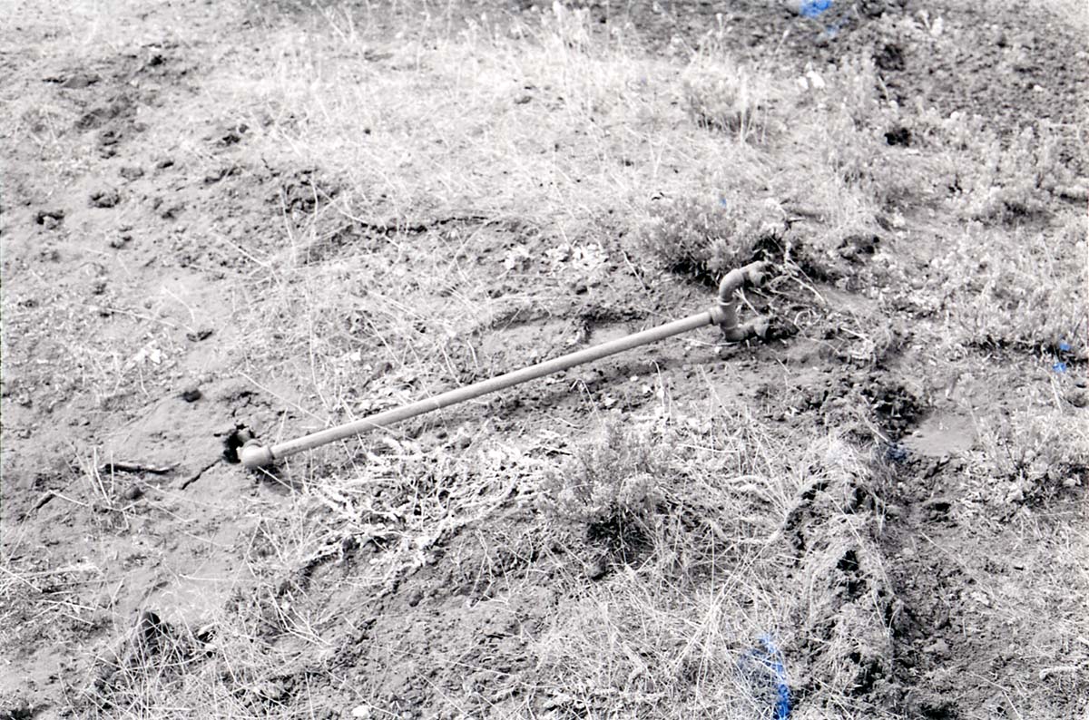 BW photo of the 1937 grazing study 35MM.