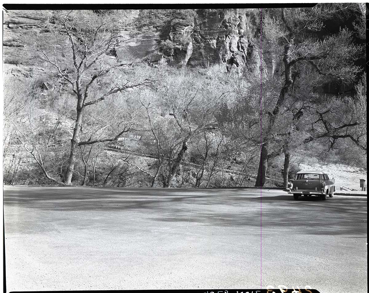Completed repair of Weeping Rock Nature Trail.