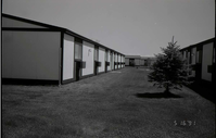 Backside of barracks with landscaping between buildings. [Image possibly for comparative housing study]
