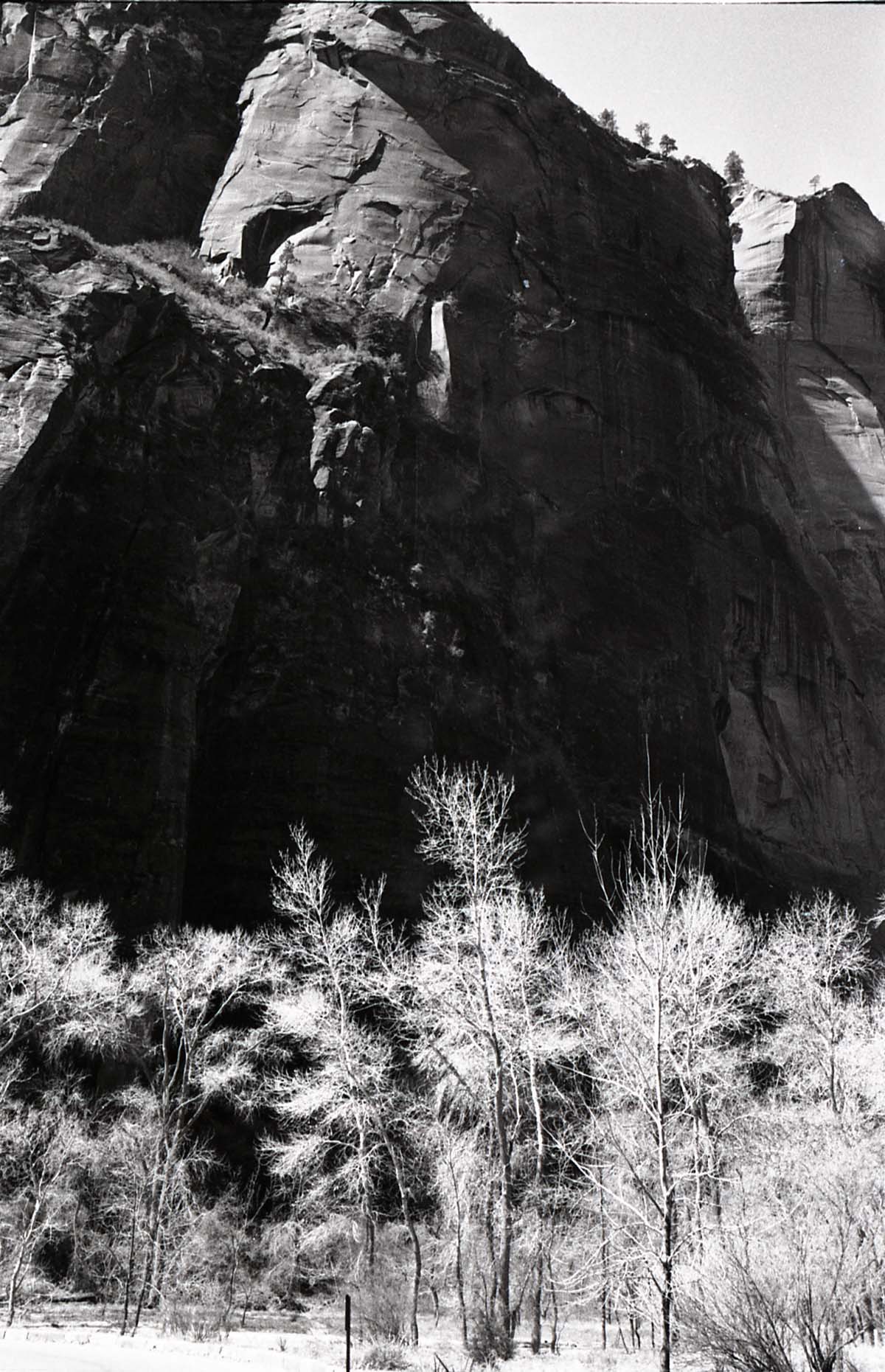 BW Photos of general interior views of Zion Canyon - 35mm.