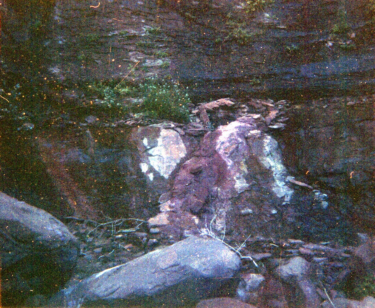 The Temple of Sinawava spring project - scaffolding construction and use.