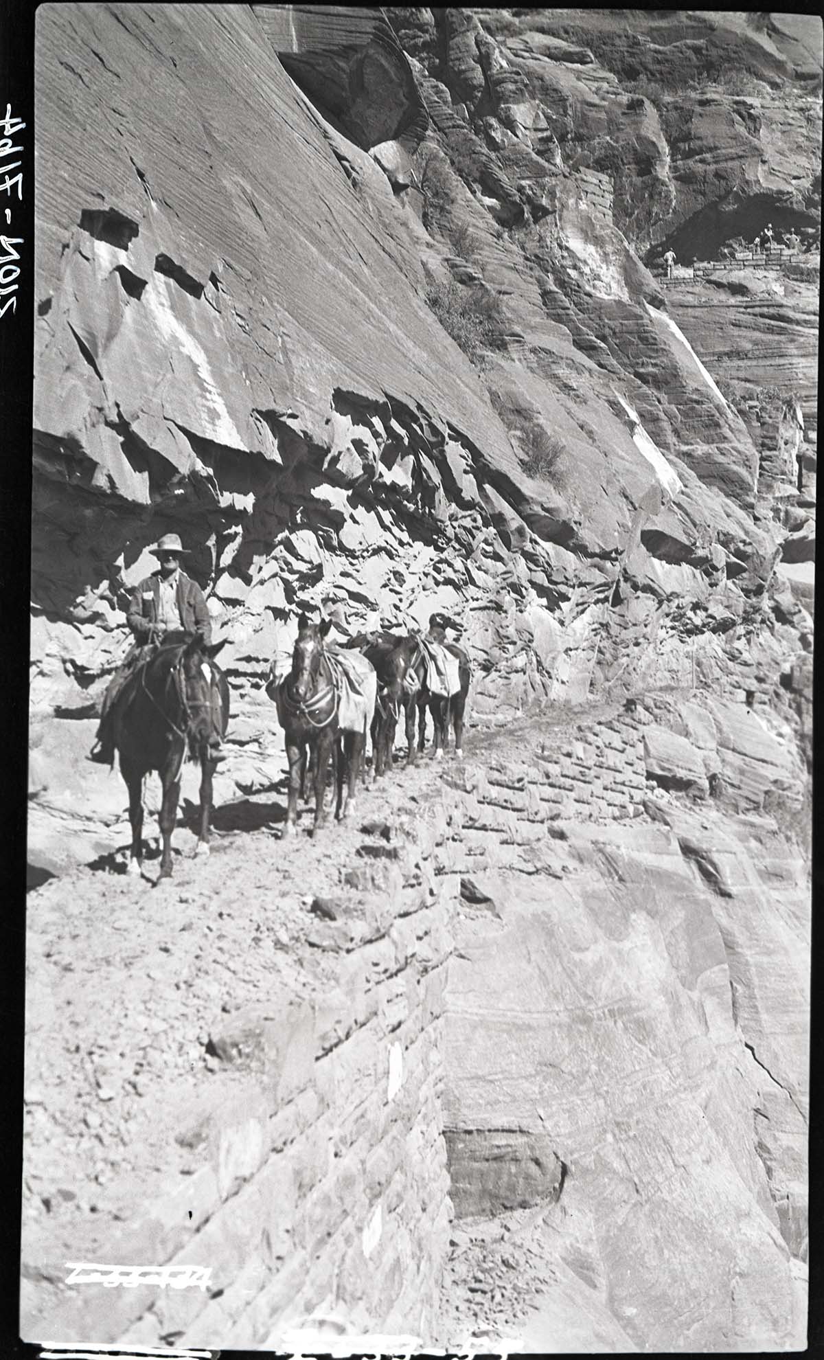 Horseback riders on West Rim Trail.