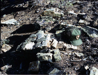Color Photos of petrified wood. Hat for scale.