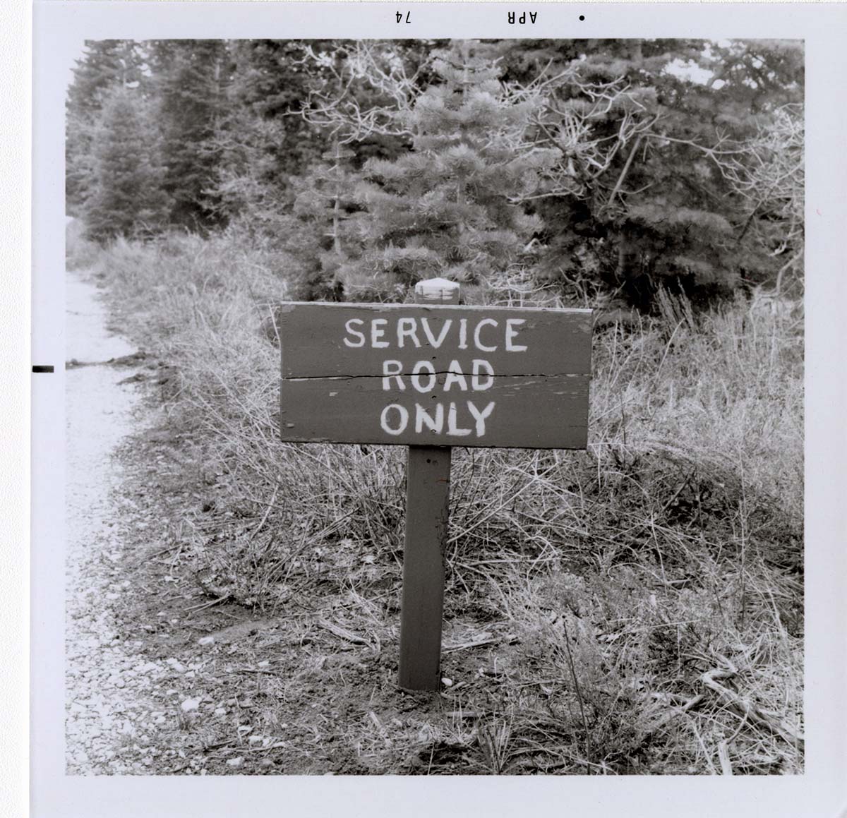 Road sign reading 'Service Road Only' in Kolob Canyon.