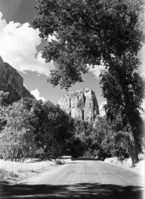 Angels Landing framed by trees, view from road.