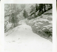 General view of the East Rim trail.