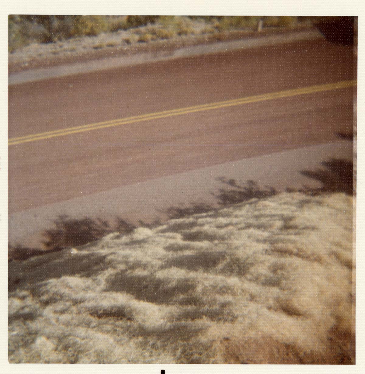 Color photo of the completion of the Kolob Canyon Road hydroseeding experiment.