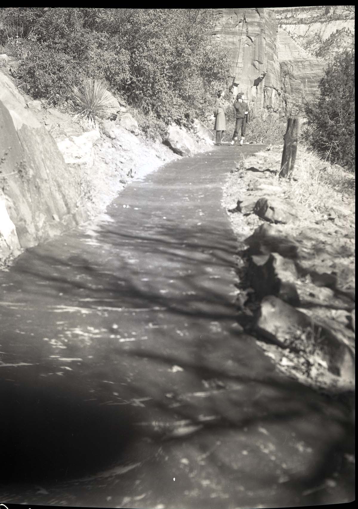Paved section on lower stretch of West Rim Trail completely washed out by flood July 25, 1954.