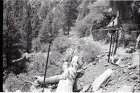 BW photo of the 1937 grazing study 35MM.