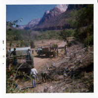 Boy Scout group cleaning up after tree crew in Watchman area.