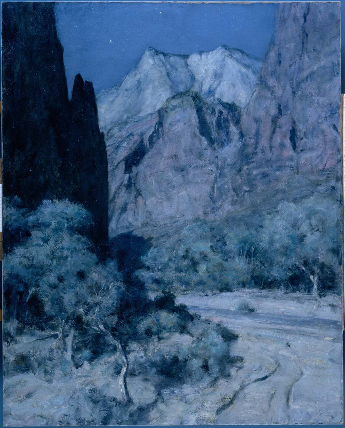 Moonlight in Zion Canyon